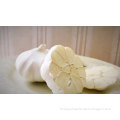 /msite/products/detail/productid/57631210/id/677584.html